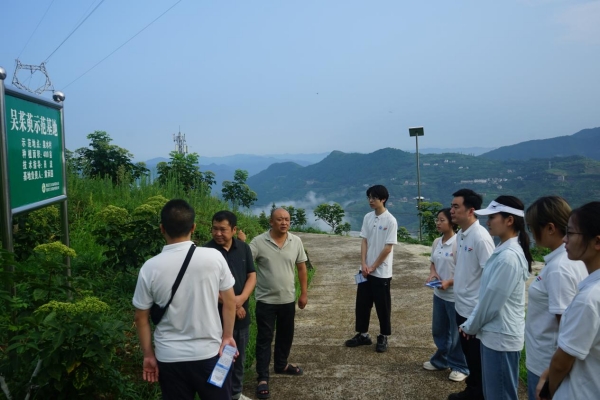 村支書、駐村干部向團隊成員介紹中藥材種植基地情況。重慶交通大學供圖