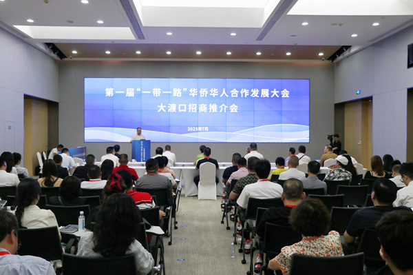 第一屆“一帶一路”華僑華人合作發展大會大渡口招商推介會現場。胥世鵬攝