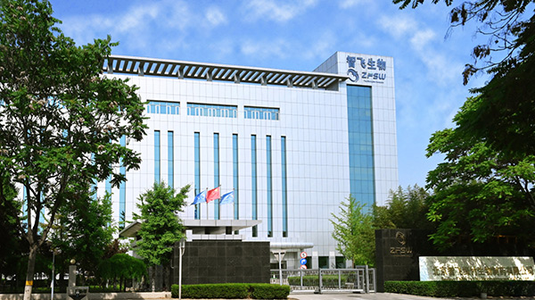 智飛生物全資子公司北京智飛綠竹。智飛生物供圖