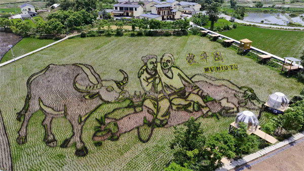 核心圖案之一 大足石刻經典牧牛圖。大足區融媒體中心供圖