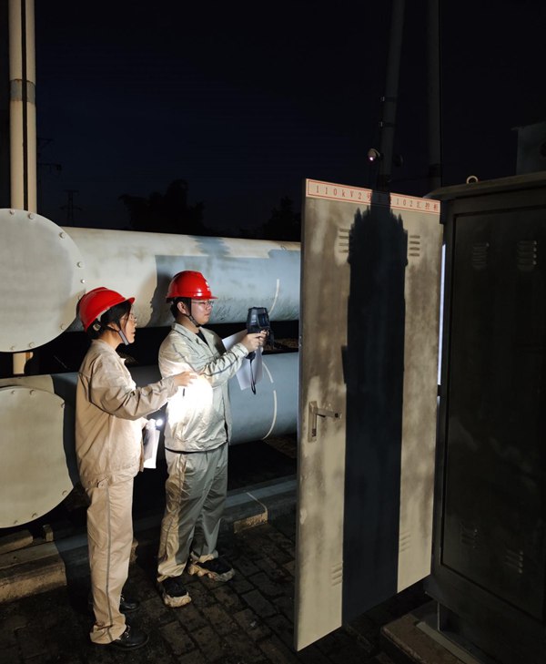 電力員工對電網設備進行巡檢。國網重慶永川供電公司供圖