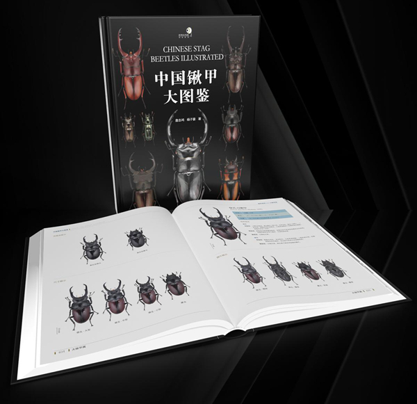 《中國鍬甲大圖鑒》封面。重慶大學出版社供圖