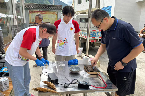 團隊制備葛根和土壤樣品。重慶工程職業技術學院供圖