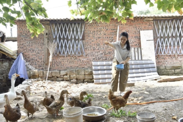 歐光先在喂雞鴨。鄧浩 攝