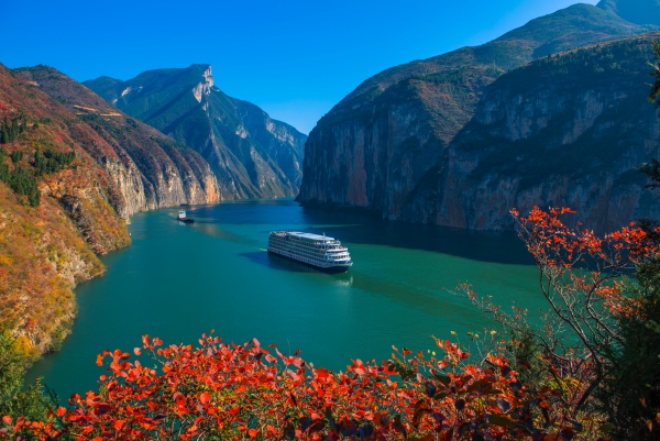 夔門紅葉。王傳貴攝