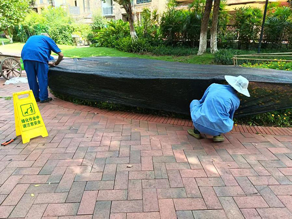 抗旱護綠行動。招商積余重慶公司供圖