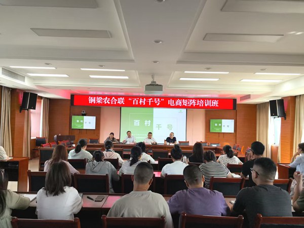 “百村千號”電商矩陣培訓班。重慶市供銷合作總社供圖
