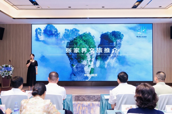 活動現場。主辦方供圖