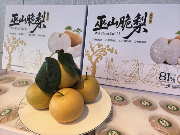 巫山脆梨。任峰攝