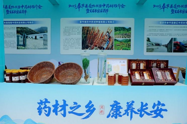 簽約儀式現場。主辦方供圖