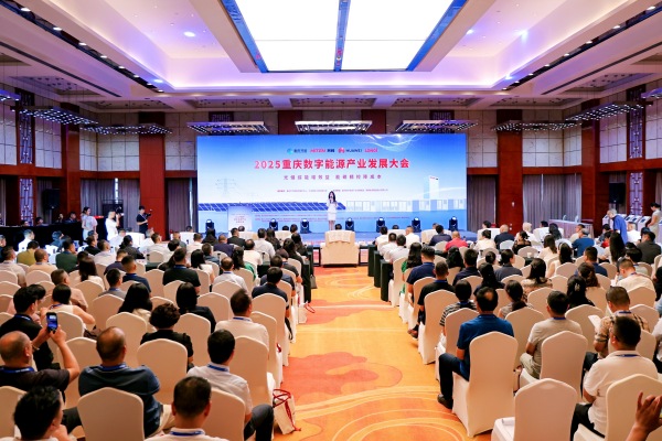 活動現場。主辦方供圖