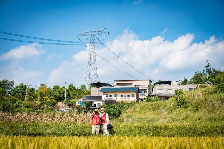 電力人員巡檢線路。國網永川供電公司供圖