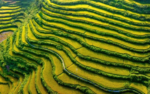 河壩村貢米梯田。秀山縣委宣傳部供圖