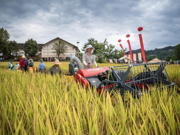 活動現場。王傳貴攝