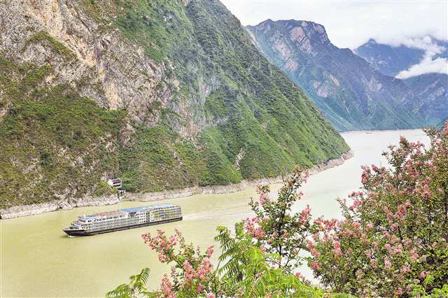 九月十三日，長江三峽巫峽兩岸紫薇花盛放，與遠山、近水、城市、橋梁等相映成景。船行其間，美如畫卷。特約攝影 王忠虎\視覺重慶