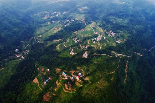 羊市鎮萬興村鄉村美景。羊市鎮供圖