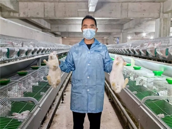 萬興村標準化兔場。羊市鎮供圖