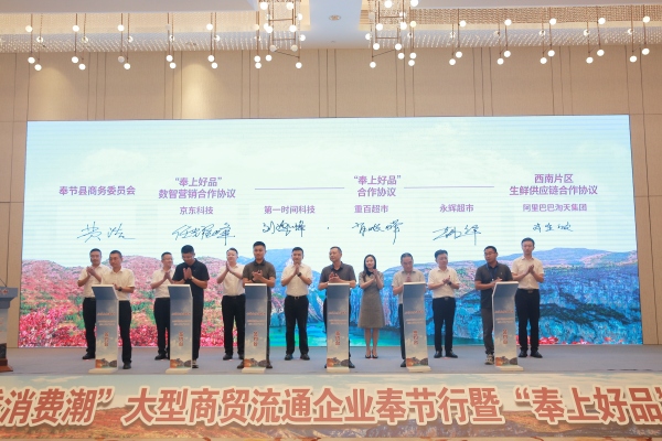 簽約儀式現場。主辦方供圖