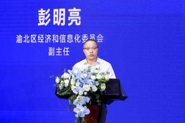 研討會現場。中國電信重慶公司供圖