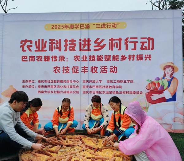 活動現場。主辦方供圖