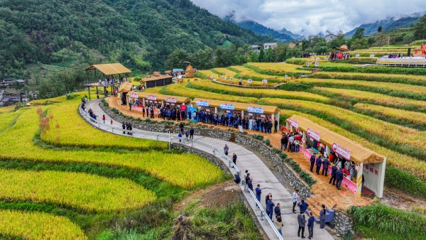 城口縣2025年中國農民豐收節在高觀鎮舉行。唐小江攝