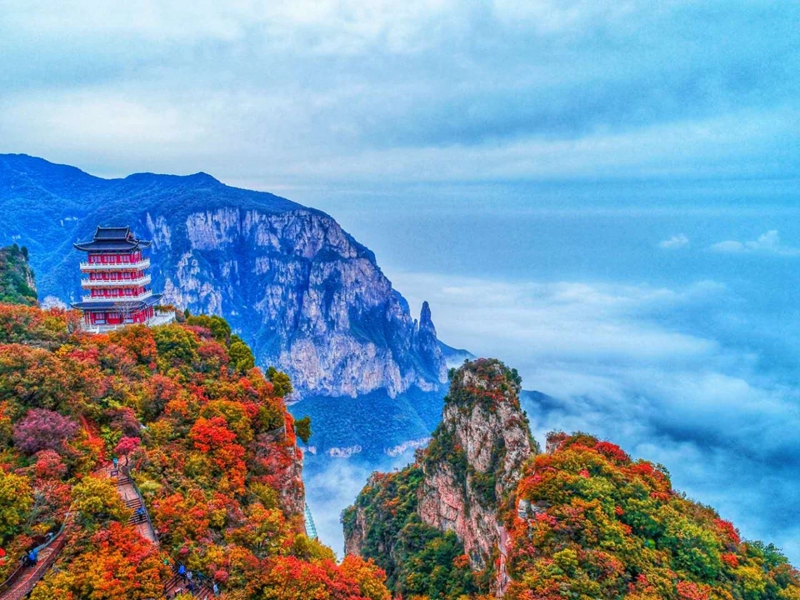 觀云海，賞紅葉，邂逅王維詩里的云臺山。段超攝