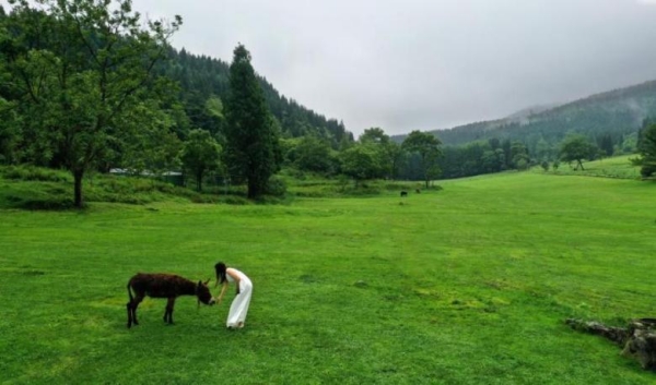 武陵山國家森林公園。涪陵區融媒體中心供圖