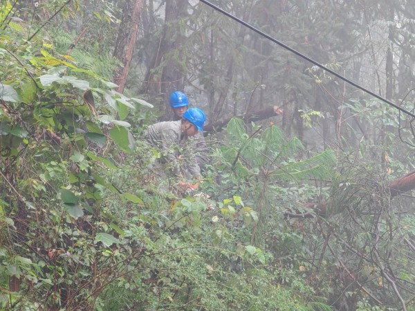 搶修人員在滑坡區域切割樹干。國網城口供電公司供圖