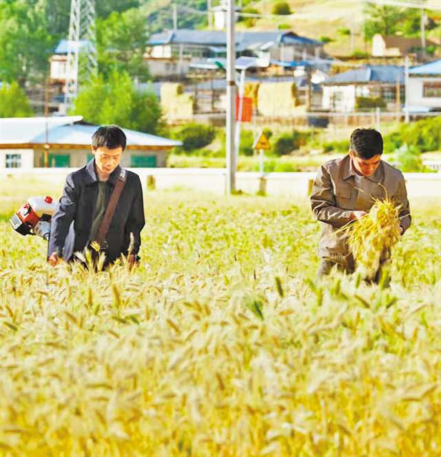 《藏地心跡》劇照。（受訪者供圖）