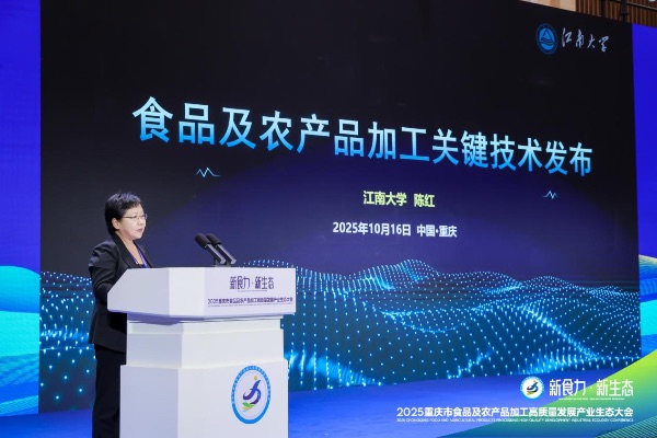 主峰會現場圖。主辦方供圖