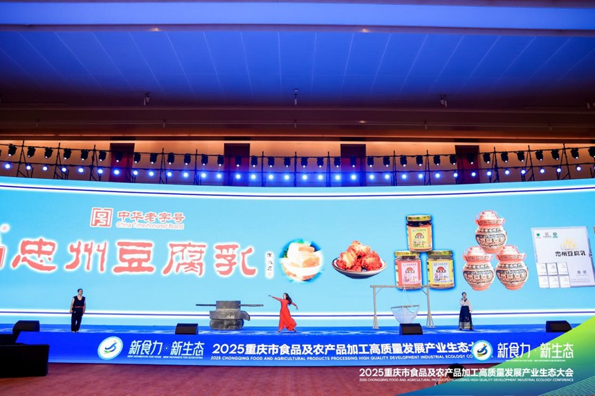 忠州豆腐乳爆品發布。主辦方供圖