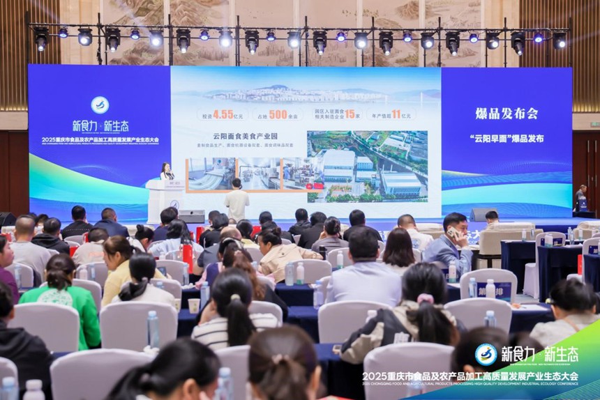 云陽早面爆品發布。主辦方供圖