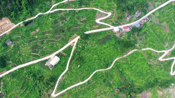 龍洞鎮龍升村柑橘園。方劍攝