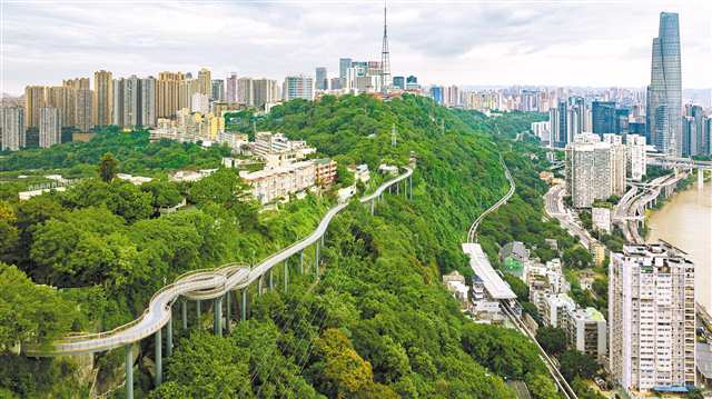 10月21日，渝中區半山崖線，懸空步道蜿蜒盤旋在山壁間（無人機照片）。記者 尹詩語 攝/視覺重慶