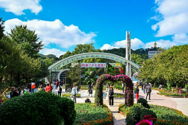 菊花展在南山植物園開展。崔景印攝
