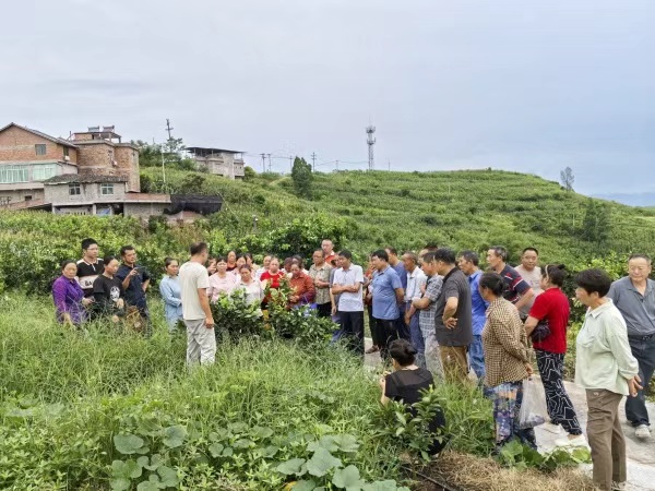 專家為果農講解管護技術。何文穎攝