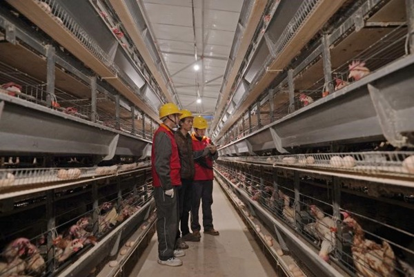 開展走訪工作。國網重慶合川供電公司供圖