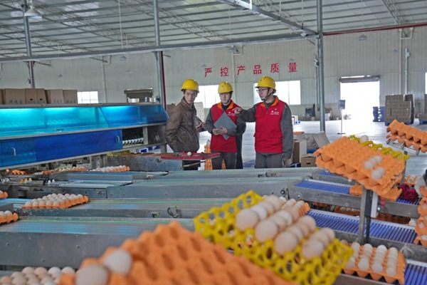 開展走訪工作。國網重慶合川供電公司供圖