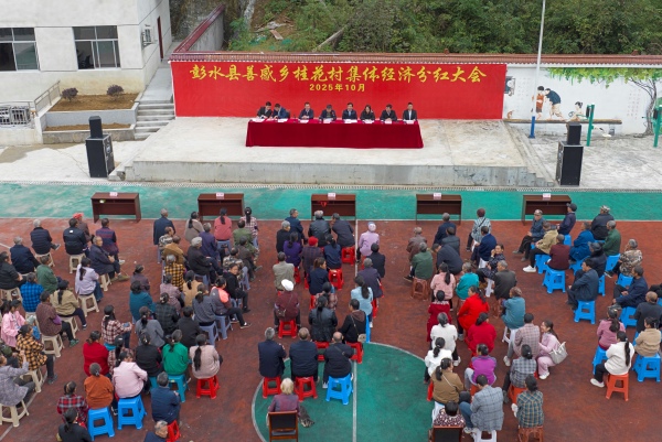 善感鄉桂花村舉行2025 年度村級集體經濟分紅大會。趙勇攝