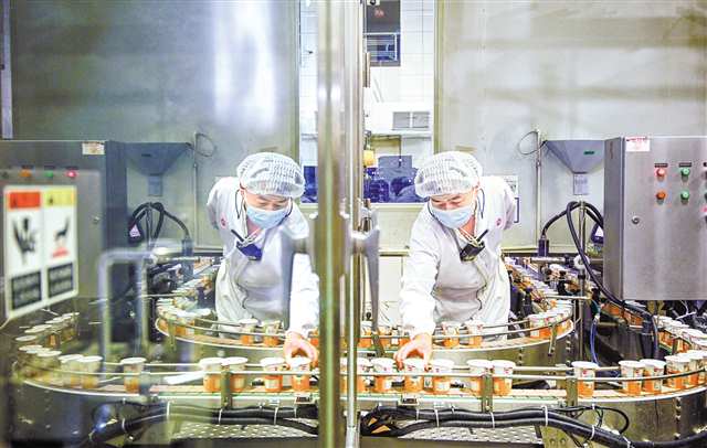 天友乳業生產車間，全自動利樂冠灌裝機前，工作人員在查看產品品質。（資料圖片） 記者 萬難 攝視覺重慶