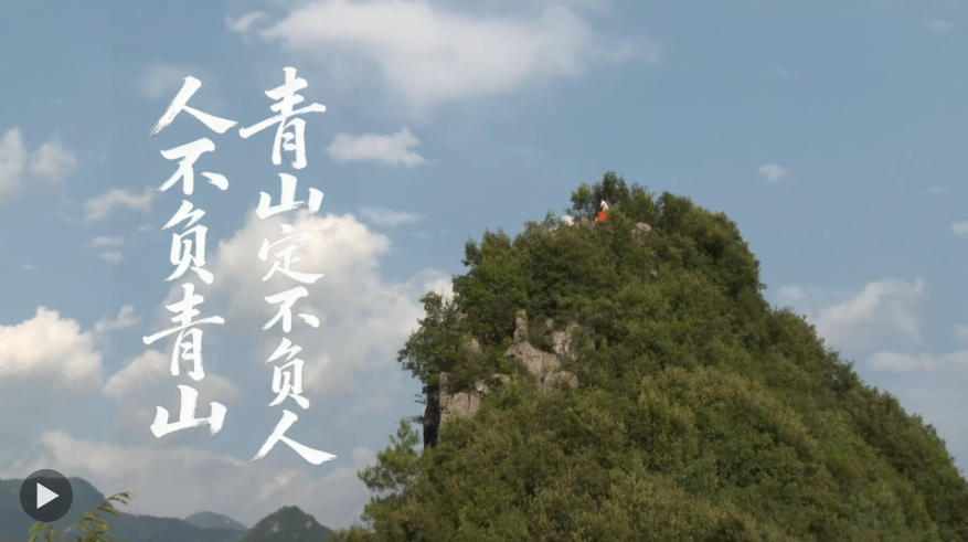 崖柏重生，生生不息