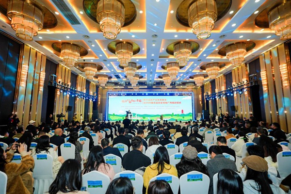 活動現場。主辦方供圖