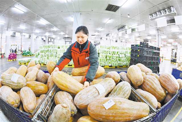 保障冬季“菜籃子”量足價穩