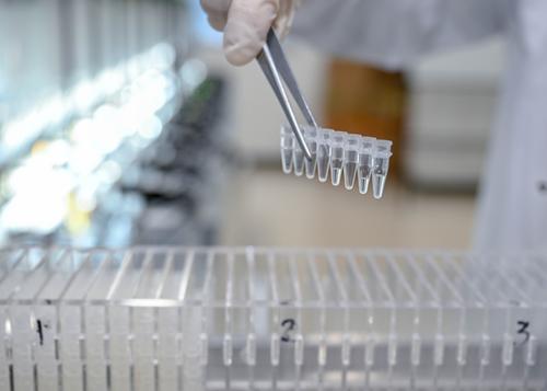 近日，位于兩江新區的中科計算技術西部研究院，實驗人員將調配有化學試劑如同“打印紙”的微量離心管放入“畢昇一號”樣機。記者 張錦輝 攝/視覺重慶