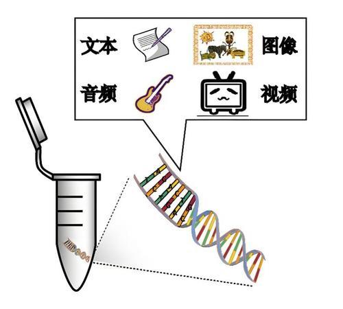 DNA數據存儲技術示意圖。西研院供圖